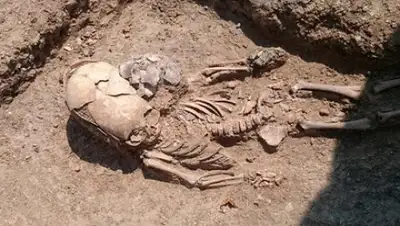 Zakon.kz, фото - Новости Zakon.kz от 27.07.2017 23:55