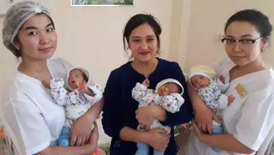 Управление здравоохранения, фото - Новости Zakon.kz от 03.02.2019 07:31