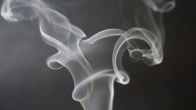 Какие продукты помогают очистить организм от никотина