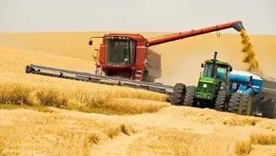 Zakon.kz, фото - Новости Zakon.kz от 04.09.2017 15:18