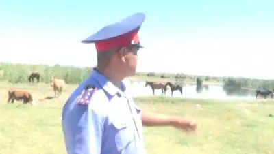 Zakon.kz, фото - Новости Zakon.kz от 18.08.2017 14:32