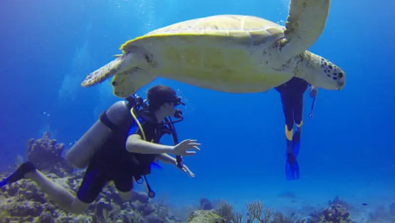 Дайвер нашел камеру с записью последних минут жизни ее владельца
