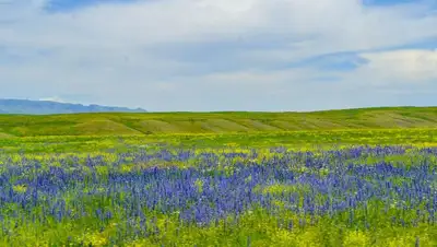 Новые области, образование, работа, деньги, бюджет, фото - Новости Zakon.kz от 14.04.2022 14:26