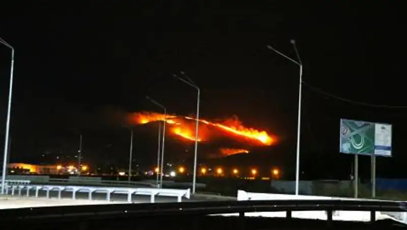 В Алматы горел сухостой на склоне вдоль ВОАД - огонь подбирался к заправке