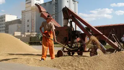 Разработан проект правил распределения дизеля для сельхозпроизводителей на сушку семян зерновых и масличных культур , фото - Новости Zakon.kz от 05.09.2023 09:01