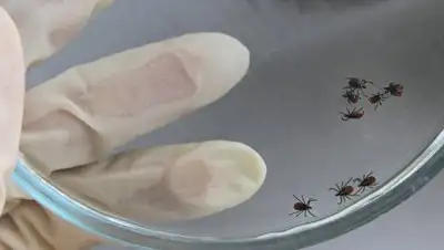 РИА Новости/ Михаил Мордасов, фото - Новости Zakon.kz от 21.05.2018 10:24