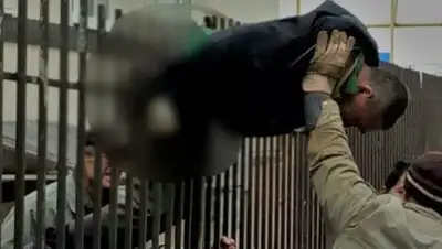 Zakon.kz, фото - Новости Zakon.kz от 18.10.2017 17:51