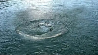 Zakon.kz, фото - Новости Zakon.kz от 01.08.2016 23:41