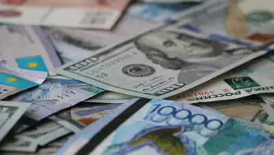 zakon.kz, фото - Новости Zakon.kz от 11.07.2019 17:36