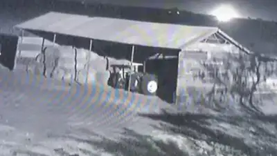 Кадр: barend swanepoel / YouTube, фото - Новости Zakon.kz от 04.06.2018 16:36