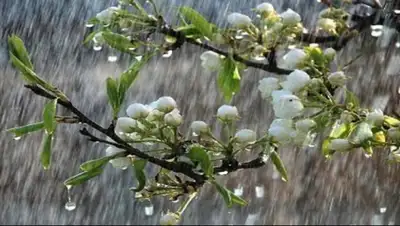 Zakon.kz, фото - Новости Zakon.kz от 06.05.2016 22:35