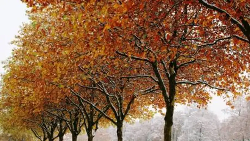 Синоптики рассказали о погоде в Казахстане 7 октября