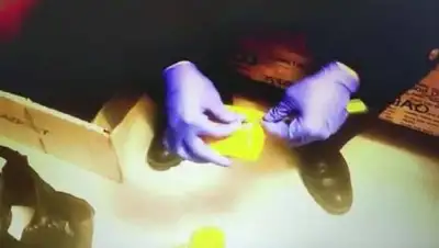 Скриншот видео, фото - Новости Zakon.kz от 15.02.2021 12:24