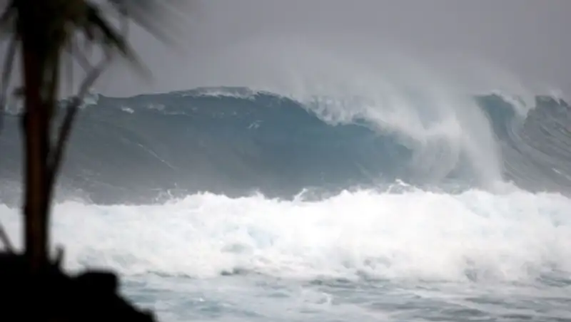Тропический шторм "Олаф" сформировался в Тихом океане