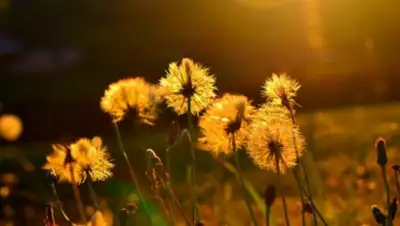 liter, фото - Новости Zakon.kz от 13.07.2020 06:00