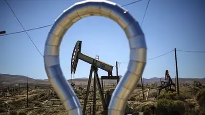 Zakon.kz, фото - Новости Zakon.kz от 24.12.2015 17:22