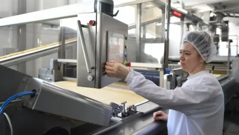 В ЮКО в 2017 году по программе индустриально-инновационного развития запущено 13 проектов