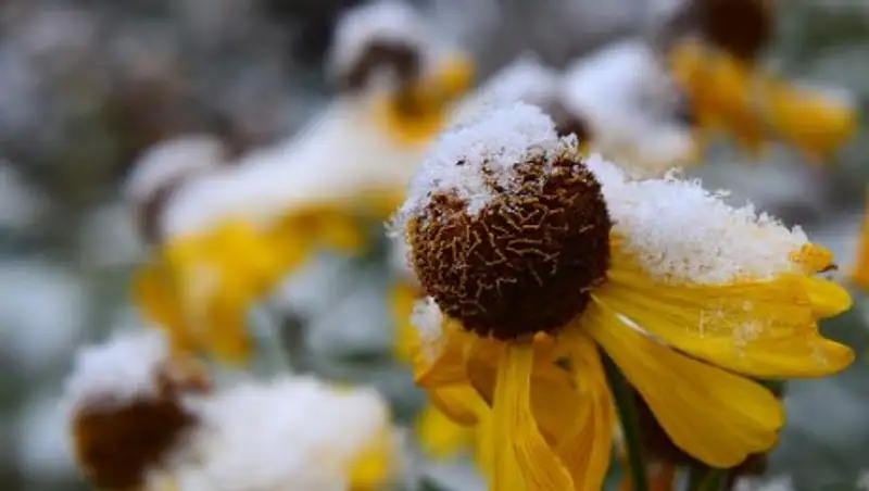 29 октября в Казахстане сохраняется неустойчивая погода