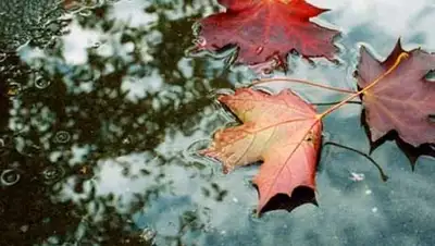 Zakon.kz, фото - Новости Zakon.kz от 25.11.2013 15:06