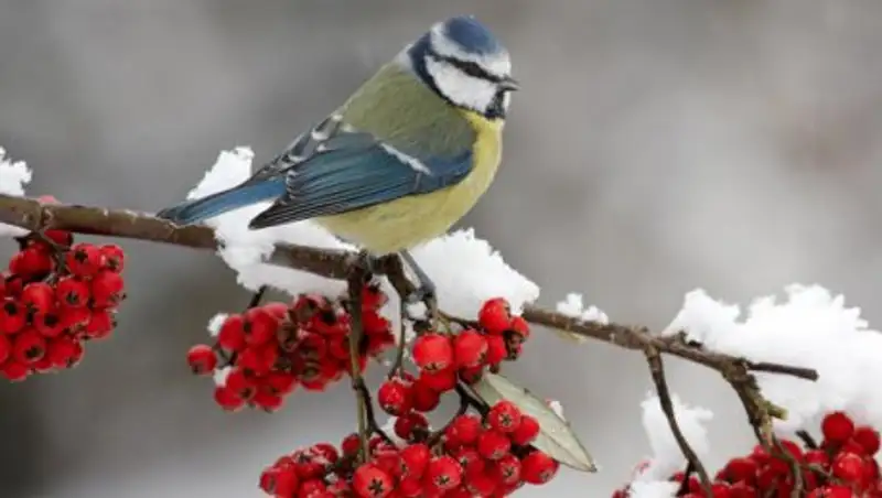 В субботу в Казахстане сохранится неустойчивая погода
