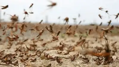 Zakon.kz, фото - Новости Zakon.kz от 13.06.2016 21:13
