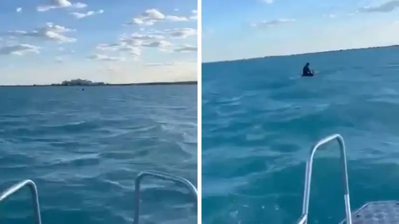 Двух человек спасли на озере Балхаш