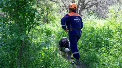 В Актау нашли пропавшего алматинца , фото - Новости Zakon.kz от 01.06.2023 21:35