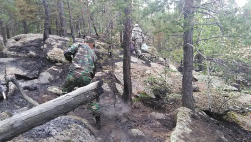 Национальный природный парк загорелся в Баянаульском районе