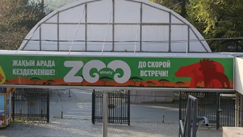 Новый директор алматинского зоопарка рассказал о его работе