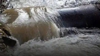 Zakon.kz, фото - Новости Zakon.kz от 26.10.2017 16:17