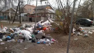 Александр Зюбин/Facebook, фото - Новости Zakon.kz от 21.11.2019 09:27