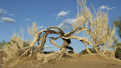 factum.kz, фото - Новости Zakon.kz от 06.05.2019 16:58