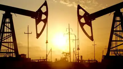 Lada.kz, фото - Новости Zakon.kz от 22.04.2020 09:31