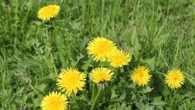 Zakon.kz, фото - Новости Zakon.kz от 20.05.2016 12:03