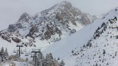 Досаев не знает имена бизнесменов, незаконно получивших земли в районе Шымбулака, фото - Новости Zakon.kz от 24.08.2023 13:01