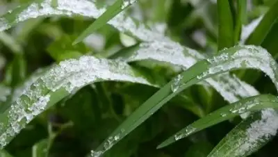 Zakon.kz, фото - Новости Zakon.kz от 24.05.2015 00:09