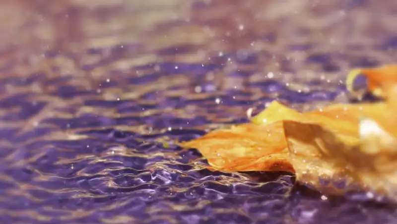 Чего ждать казахстанцам от погоды 10 июня