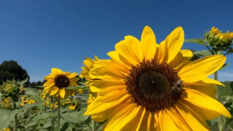 На большей территории Казахстана ожидается погода без осадков