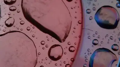 PxHere, фото - Новости Zakon.kz от 04.10.2021 00:58