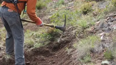 pxhere.com, фото - Новости Zakon.kz от 01.09.2021 11:33