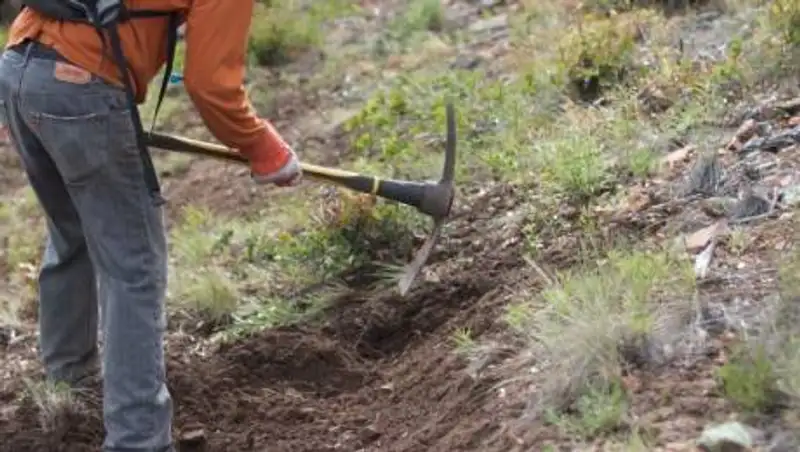 В Казахстане будет создана национальная геологическая служба