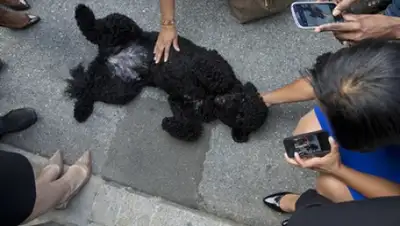 Zakon.kz, фото - Новости Zakon.kz от 06.03.2015 15:46