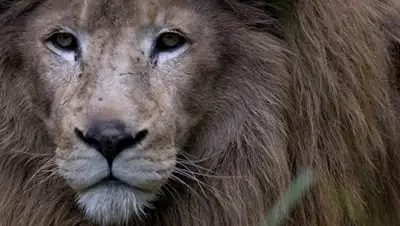 Zakon.kz, фото - Новости Zakon.kz от 14.07.2017 13:59