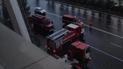 Zakon.kz, фото - Новости Zakon.kz от 14.07.2017 18:25