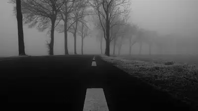 погода, дорога, дтп , фото - Новости Zakon.kz от 29.11.2021 11:32