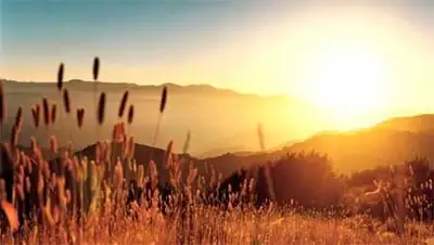 Zakon.kz, фото - Новости Zakon.kz от 17.07.2014 14:55