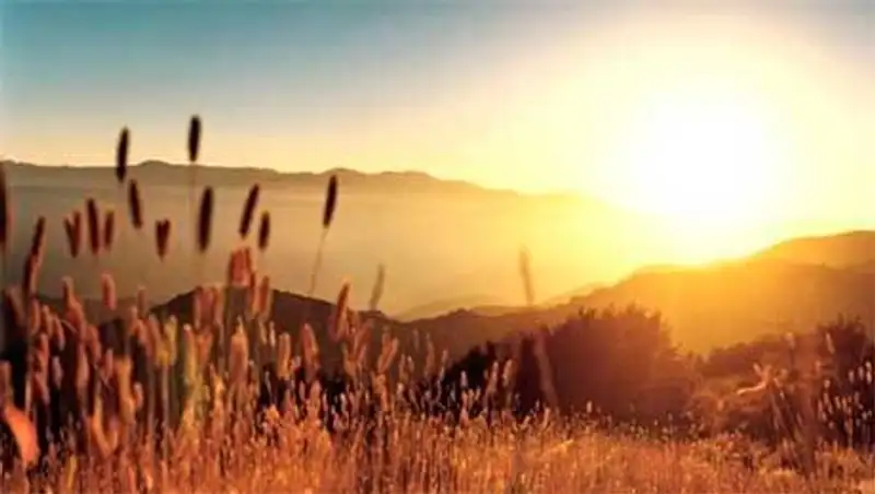 Погода без осадков сохранится сегодня в большинстве регионов страны