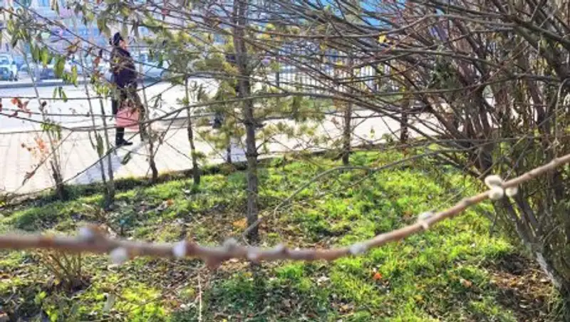 В Шымкент уже пришла весна