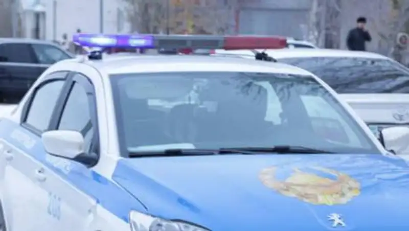 Тройное убийство произошло в Алматинской области