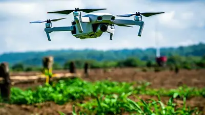 Пожары в Павлодарской области будут отслеживать с помощью беспилотников, фото - Новости Zakon.kz от 25.07.2023 07:55